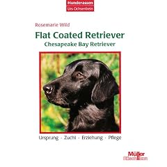 Flat Coated Retriever / Chesapeake Bay Retriever. Ursprung, Zucht, Erziehung, Pflege