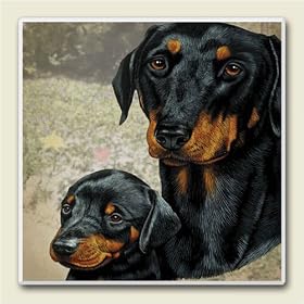 Click here to buy AbsorbaStone Coaster set~ Doberman ~4 Tile Drink Coasters ~ code 825C by Artworks Home Accents.