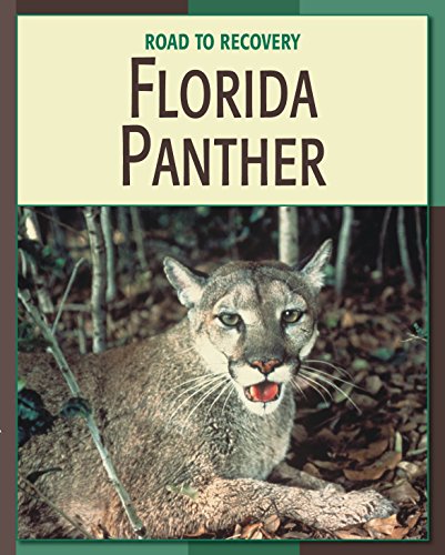 Florida Panther (21st Century Skills Library: Road to Recovery)