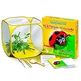 World Alive - Ladybird Kit