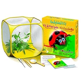 World Alive Ladybird Kit