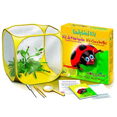 World Alive Ladybird Kit