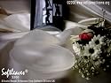 Softleaves&reg; X900 Silicone Breast Enhancers in the medium size suitable for bra size B,C,D ( Clear colour)