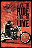 Empire 346339 Harley Davidson Live To Ride Poster Plakat - 61 x 91.5 cm
