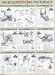 Musculation des pectoraux : Poster