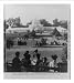 Historic Print (M): Golden Gate Park, San Francisco, Cal.
