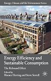 Energy Efficiency and Sustainable Consumption: The Rebound Effect (Energy, Climate and the Environment)