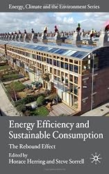Energy Efficiency and Sustainable Consumption: The Rebound Effect (Energy, Climate and the Environment)
