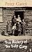 True History of the Kelly Gang
