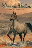 Phantom Stallion #13: Heartbreak Bronco (Phantom Stallion)