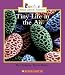 Tiny Life in the Air (Rookie Read-About Science: Life Science) at Amazon Books: 51JD3TD13YL._SL75_