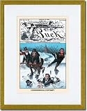 Gold Framed/Matted Print 17x23, Puck Magazine: Congressional Contempt