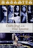 Dancing at the Blue Iguana [2002]