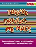They're Driving Me Mad!: Running Circles of Support for Children Whose Behaviour Pushes You Beyond Your Limit