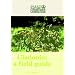 Cladonia: A Field Guide