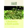 Cladonia: A Field Guide