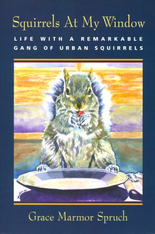 Squirrels at My Window: Life With a Remarkable Gang of Urban Squirrels