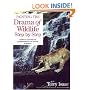 Painting the Drama of Wildlife Step by Step