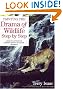 Painting the Drama of Wildlife Step by Step