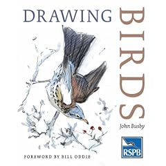 Drawing Birds (RSPB)