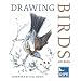 Drawing Birds (RSPB)