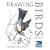 Drawing Birds (RSPB)