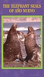 The Elephant Seals of Año Nuevo [VHS]