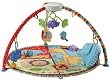 Fisher-Price Luv U Zoo Deluxe Musical Mobile Gym