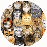 Cats Cats Cats Thirstystone Sandstone Coasters