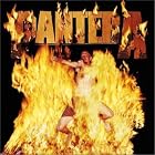 Reinventing the Steel by Pantera