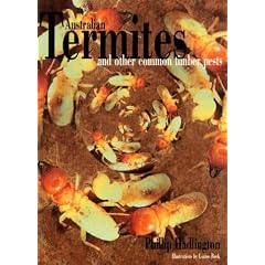 Australian Termites & Other Common Timber Pests