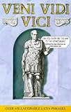 Veni, vedi, vici