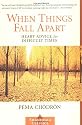 When Things Fall Apart: Heart Advice for Difficult Times (Shambhala Classics)