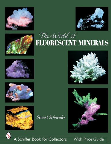 World of Fluorescent Minerals under Rocks & Minerals in The Books Store