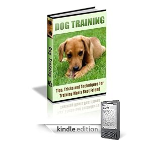 90 Dog Training Tips