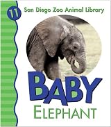 Baby Elephant