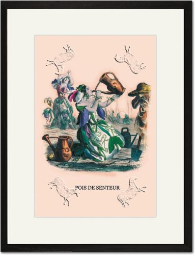 Black Framed Matted Print 17x23 - Pois de Senteur