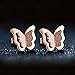 Aegean Jewelry Titanium Lady's Butterfly Charming Stud Earring with a Gift Box and a Free Small Gift