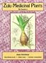 Zulu Medicinal Plants: An Inventory