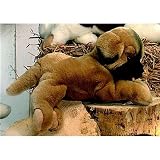 Eigenschaften Plüti 1518-040-301 / Plüti 1518-040-301 - Leonberger, liegend, honig - 40 cm