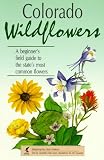 Colorado Wildflowers: A Beginner's Field Guide to the State's Most Common Flowers (Interpreting the Great Outdoors)