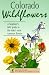 Books : Colorado Wildflowers: A Beginner's Field Guide to the State's Most Common Flowers (Interpreting the Great Outdoors)