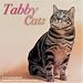 Tabby Cats 2009 Wall Calendar