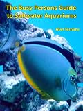 The Busy Persons Guide to Saltwater Aquariums