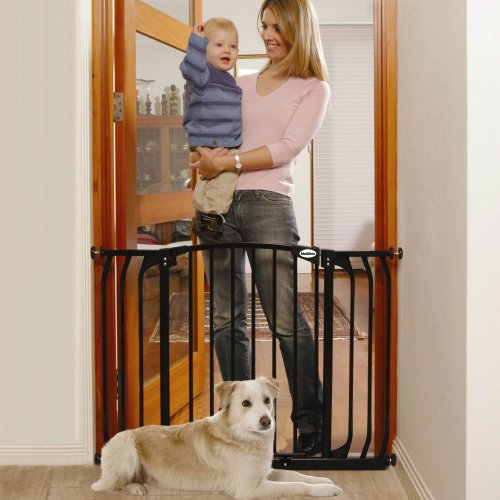 Hallway Security Gate - Black