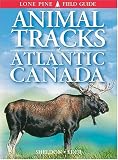Animal Tracks of Atlantic Canada