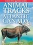 Animal Tracks of Atlantic Canada