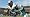 Madden NFL 08