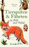Tierspuren und Faehrten in Feld und Wald