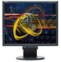 NEC LCD1970V-BK 19" LCD Monitor (Black)